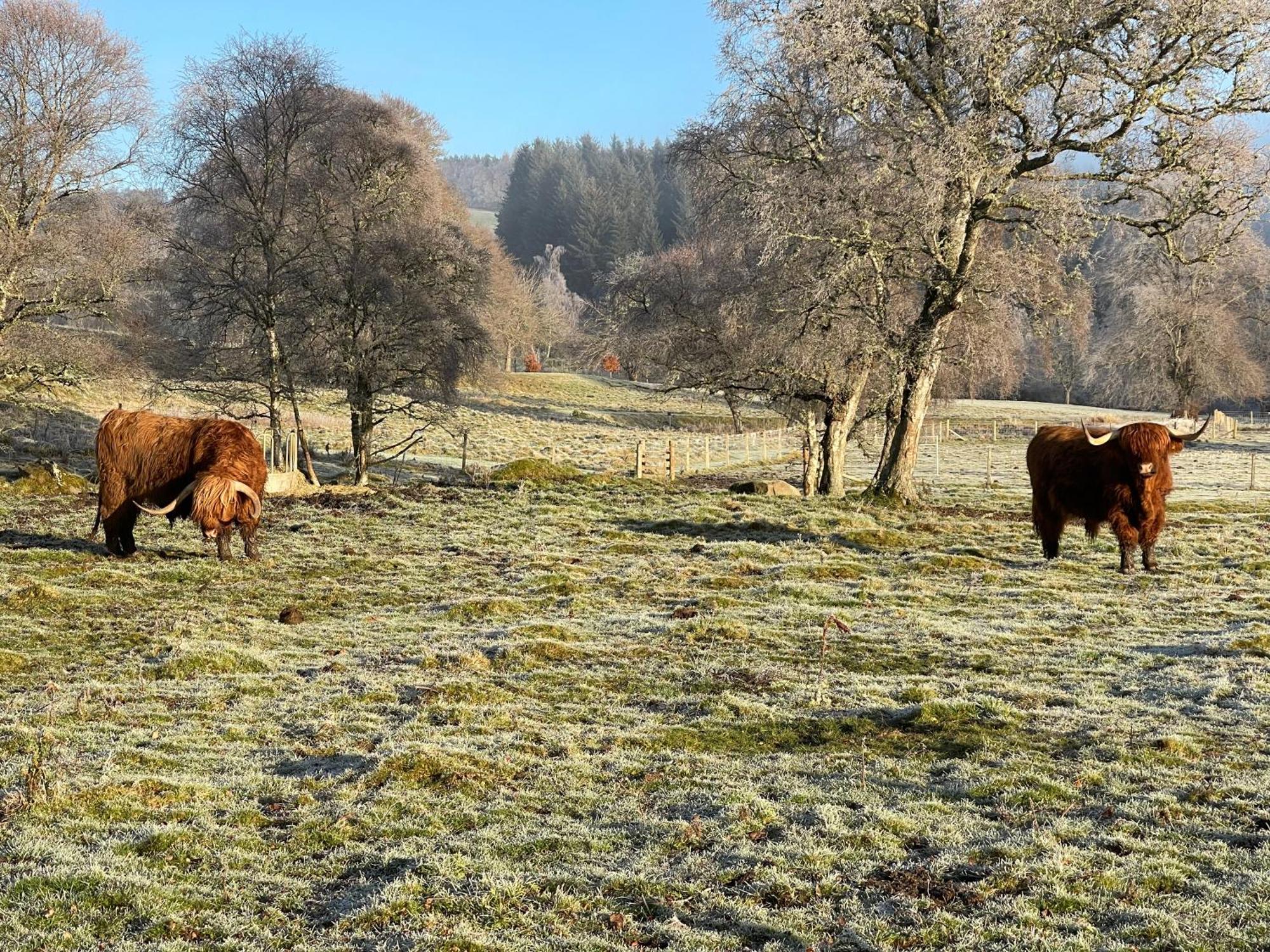 Coppice Cottage Grantown-on-Spey Eksteriør bilde