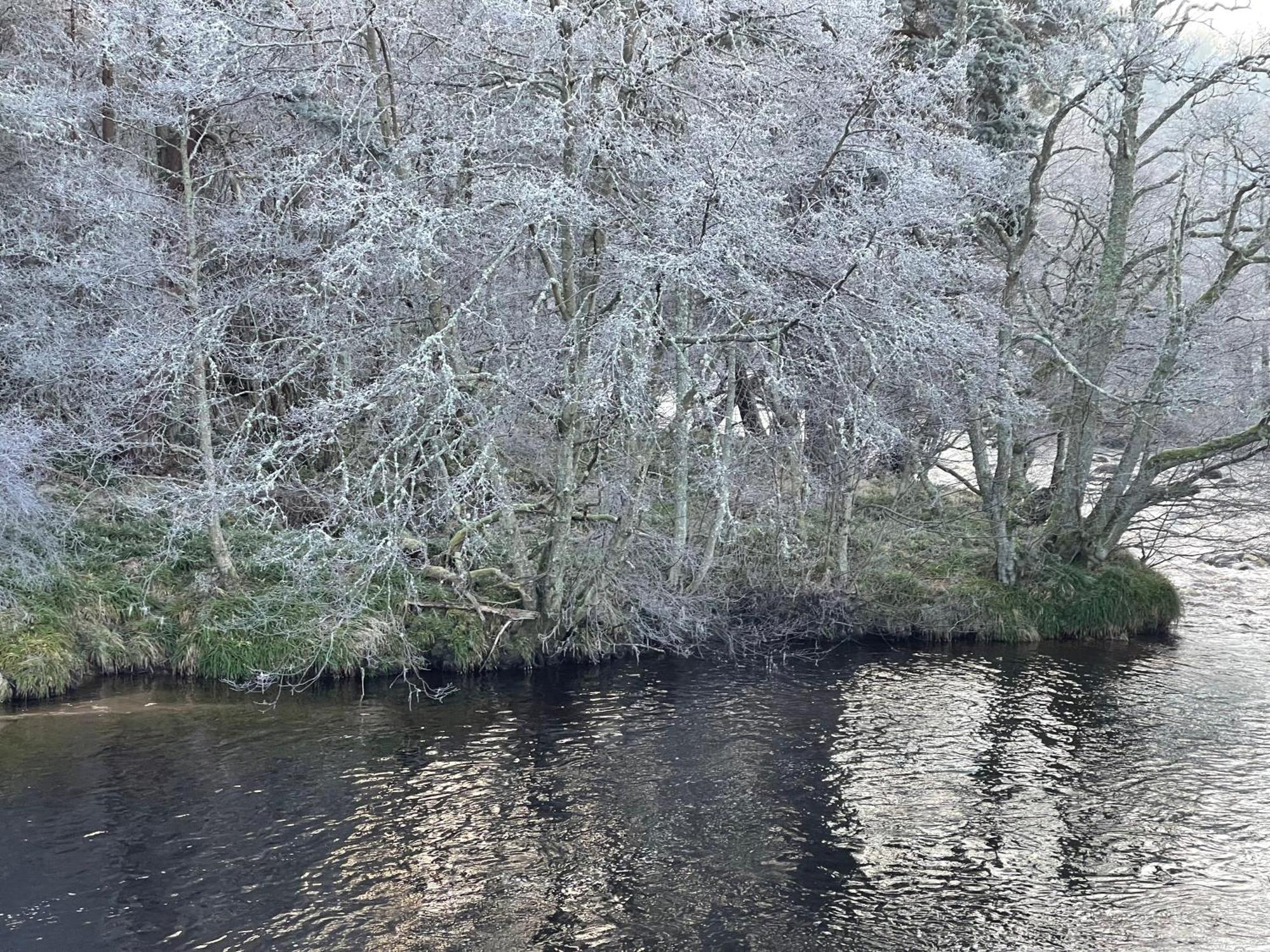 Coppice Cottage Grantown-on-Spey Eksteriør bilde