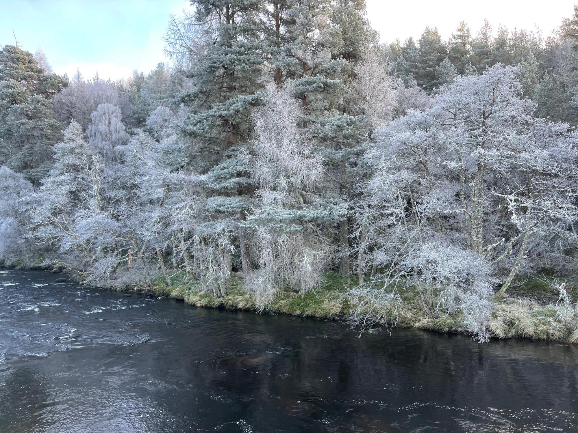 Coppice Cottage Grantown-on-Spey Eksteriør bilde