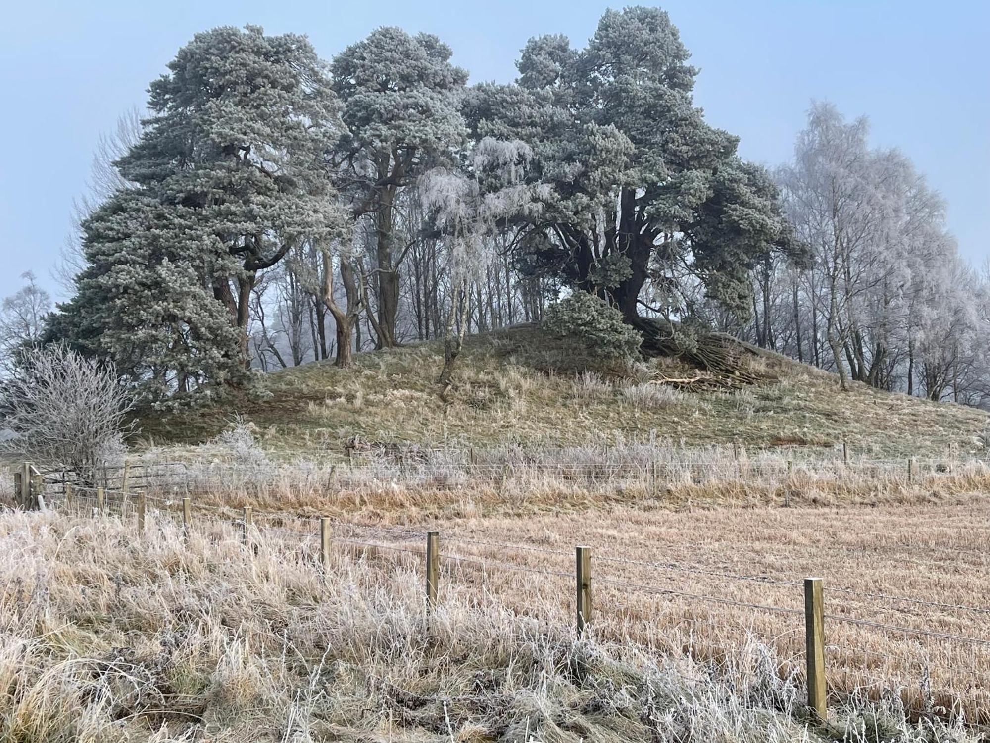Coppice Cottage Grantown-on-Spey Eksteriør bilde