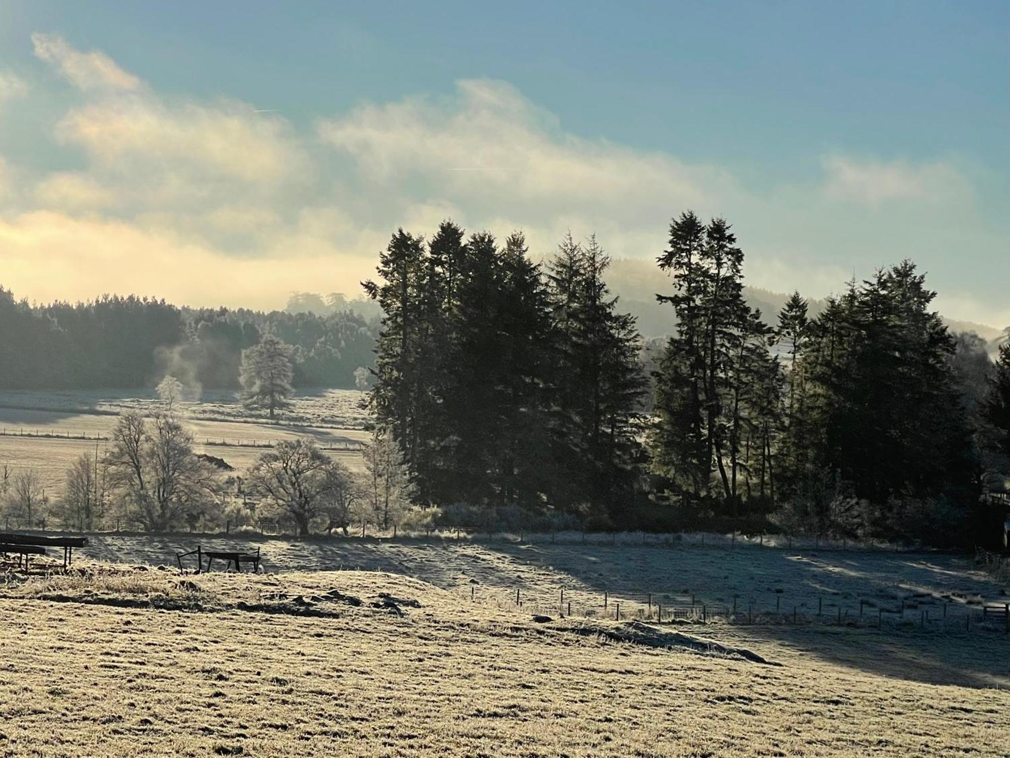 Coppice Cottage Grantown-on-Spey Eksteriør bilde